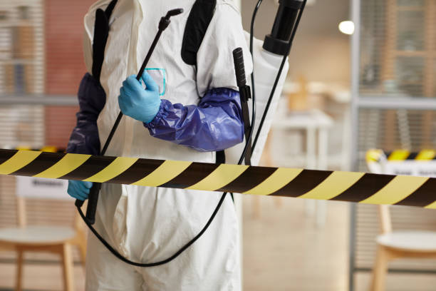 Professional Sewage Cleanup technician working in Dunellen, NJ